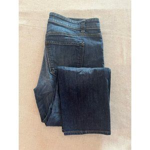 Ann Taylor, Modern Fit, Women's Denim Blue Jeans, Size 8